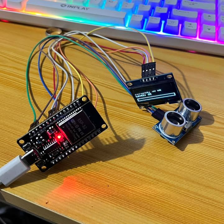 Water Level Monitoring System