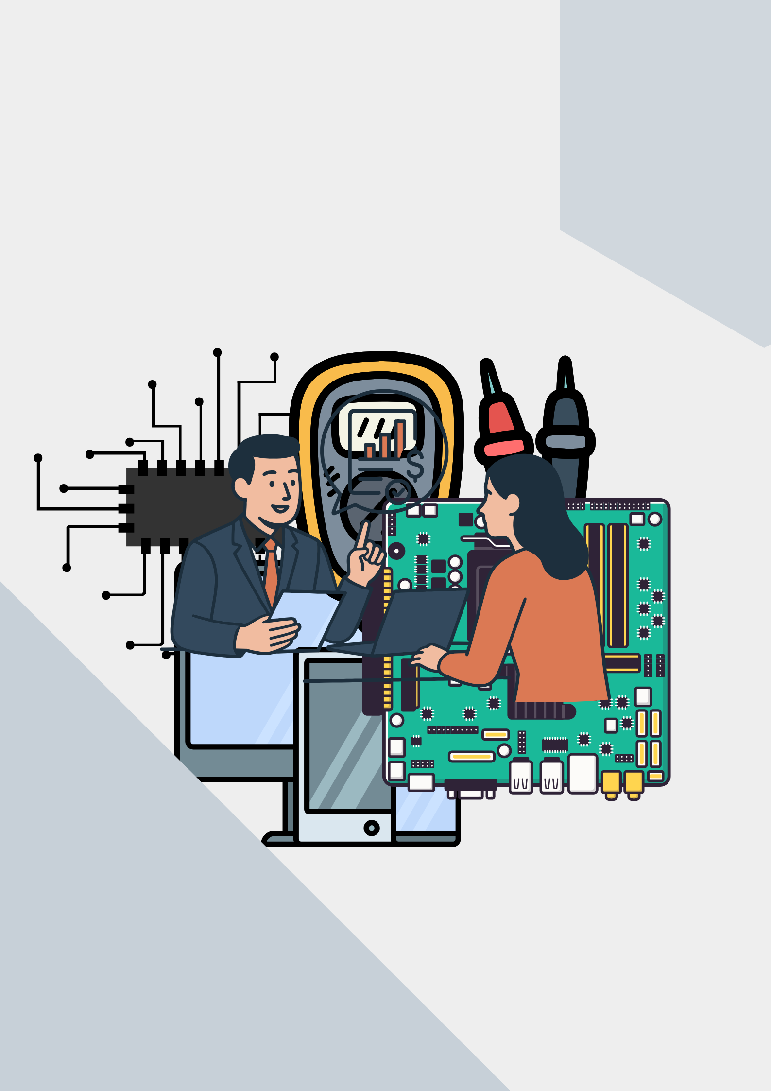 Project Consultation